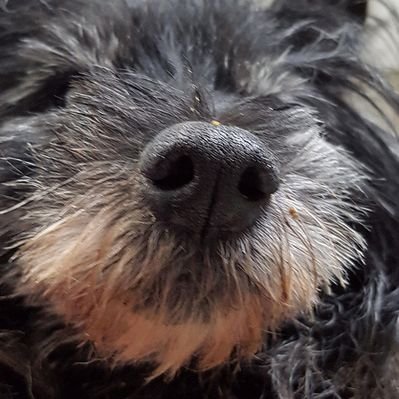 Profile Picture of Für Verbale Abrüstung! Gratis Senf!!! (@MarcHenke1) on Twitter