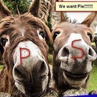 Profile Picture of Doug Willett (@jackjr97070) on Pinterest