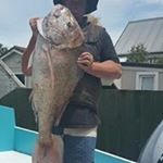 Profile Picture of Steve Fulton (@steve.fulton.7524) on Instagram