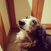 Profile Picture of Kim Andersen (@kimandersen7010) on Youtube