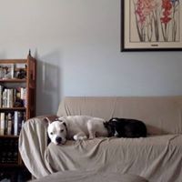 Profile Picture of Peter Shultz (@peter-shultz-6) on Quora