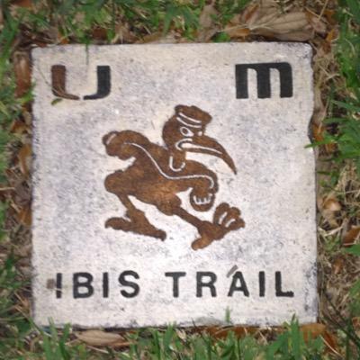 Profile Picture of Carlos Salvat (@CSalvat) on Twitter