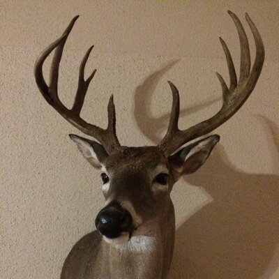 Profile Picture of Craigy Joe Cegielski (@CegielskiCraig) on Twitter