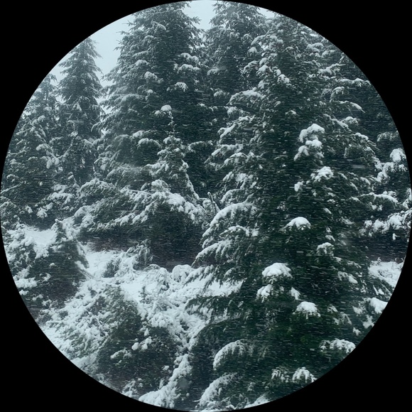 Myah Artel - Poshmark Profile Picture of Myah Artel (@madeals) on Poshmark