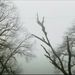 Profile Picture of Pooja Kulkarni (@pk7705250) on Pinterest