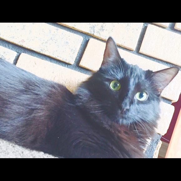 Profile Picture of Keiko Mawhinney (@keikomawhinney) on Poshmark