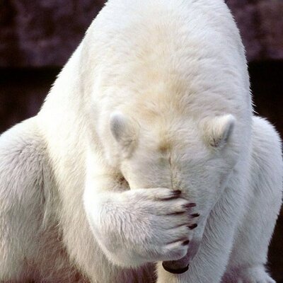 Kevin Belisle - Twitter Profile Picture of Kevin Belisle (@megakev1) on Twitter