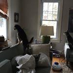 Profile Picture of Christine Schrempp (@schremppchristine) on Instagram