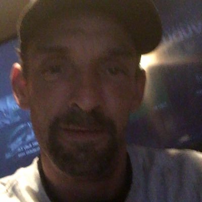 Profile Picture of Levi Pearce (@levipearce) on Twitter