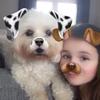 Profile Picture of Nancy (@@nancymeredith) on Tiktok