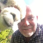 Profile Picture of Darren Calvert (@dazxiti) on Instagram