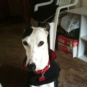 Profile Picture of Michael Chupa (@michaelchupa9394) on Youtube