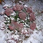 Profile Picture of Gramatan Fernhurst (@845zytgfsp) on Instagram