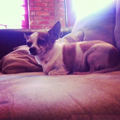 Profile Picture of Addison Parsons (@rayeraye1010) on Twitter