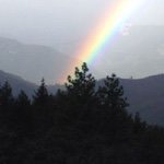 Profile Picture of Gordon Murphy (@gordon_murphy) on Instagram