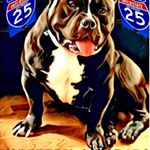 Profile Picture of Kenneth Owens (@northern_colorado_bully_kennel) on Instagram