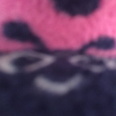 Profile Picture of Kendall Bates (@kendall_batess) on Twitter