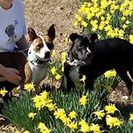 Profile Picture of David Kugler (@david.kugler.18) on Instagram