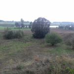 Profile Picture of marek świderski (@moraki626) on Instagram