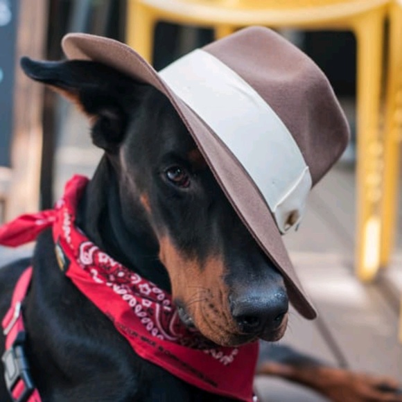 Profile Picture of Collin Yu (@cyute) on Poshmark