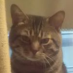 Profile Picture of Lillian Drumgold (@drumgold29) on Instagram