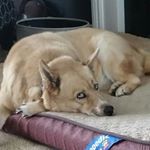 Profile Picture of Kim Currin (@kimcurrin) on Instagram