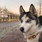 Profile Picture of Alex Cuevas  (@alex_cuevas_) on Instagram