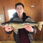 Profile Picture of Matt Steiner (@matt_steiner_) on Instagram