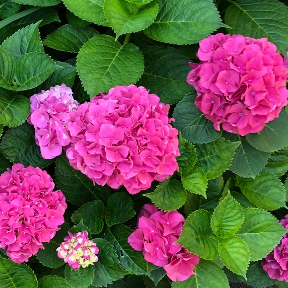 Profile Picture of Georgia Lambard (@travelmum318) on Poshmark