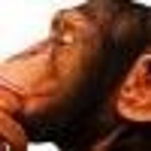 Profile Picture of Enio Perrozzi Ciolfi (@411970502) on Myspace