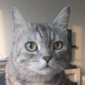 Profile Picture of Reecha Upadhyay (@reechaupadhyay9864) on Youtube