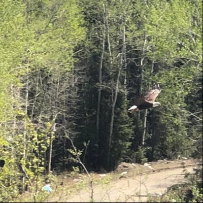 Profile Picture of Matthew LaCrosse (@LacrosseMatthew) on Twitter