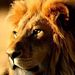 Profile Picture of Lucas Stahl (@lucasstahl8908) on Pinterest