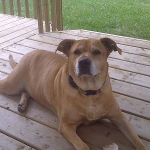 Profile Picture of Dio (@junemccallum5) on Tiktok