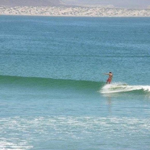 Profile Picture of William Fischer (@sirenapez) on Poshmark