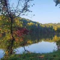 Profile Picture of Kitty Hardy (@kitty-hardy-1) on Quora