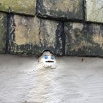 Profile Picture of Pat Pembridge (@patpembridge) on Instagram