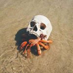 Profile Picture of Jesus Alejandro Cadenas (@alejandro.cadenas) on Instagram