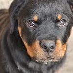 Profile Picture of Zoe James Broome (@zoejamesbroome) on Instagram