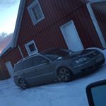 Profile Picture of ein tickner ja (@kimtickner) on Instagram