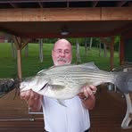 Profile Picture of Phillip Matherly (@Phillip-Matherly) on Facebook