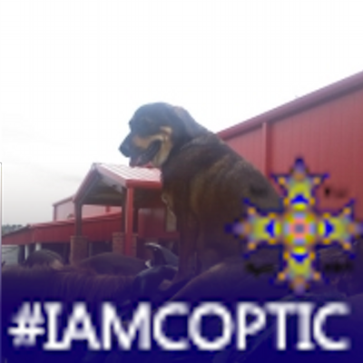 Profile Picture of Alexandra Fauser (@ldywrblc) on Twitter