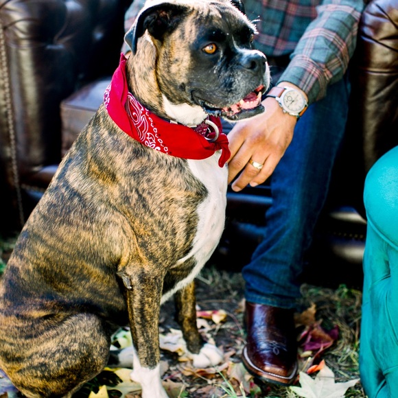 Alex Meraz - Poshmark Profile Picture of Alex Meraz (@alex_meraz) on Poshmark