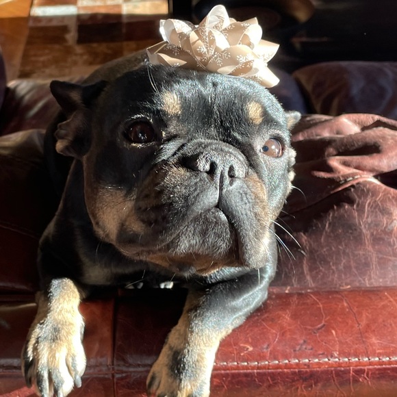 Profile Picture of Taylor Mclelland (@tay_lor822) on Poshmark