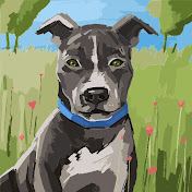 Profile Picture of Amber Kreh (@akreh0286) on Youtube