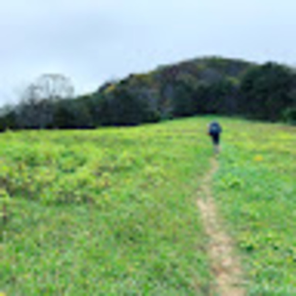 Profile Picture of Sean Krause (@sskrause1) on Poshmark