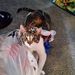 Profile Picture of Amy Watson Thomas (@athomas1020) on Pinterest