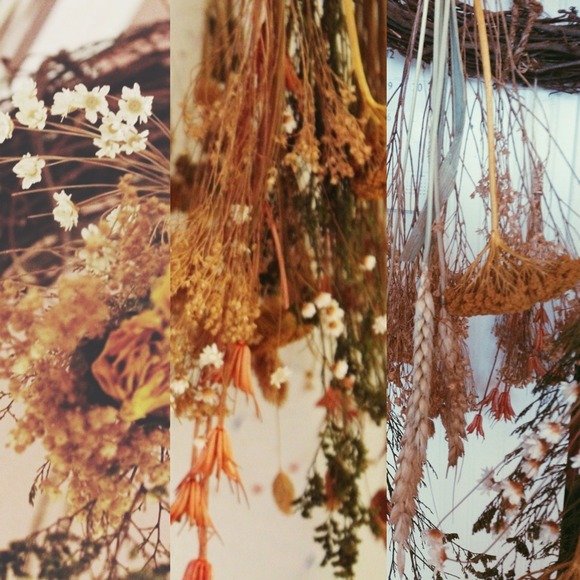 Profile Picture of Lisa Takahashi (@lisatakahashi) on Poshmark