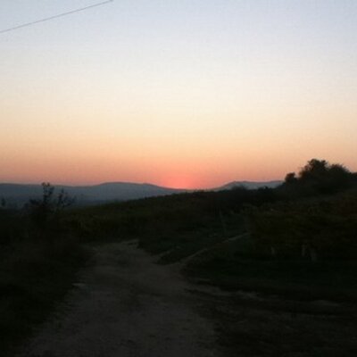 Profile Picture of Adam Nunn (@adamnunn) on Twitter