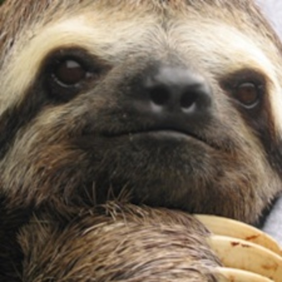 Profile Picture of Cierra Long (@cierralong931) on Poshmark